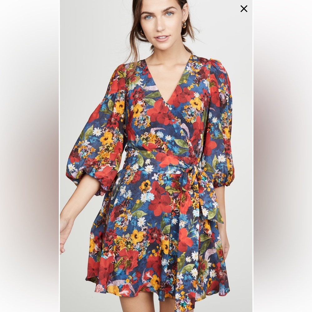 NWT Alice & Olivia Silk Floral Riviera Dress
